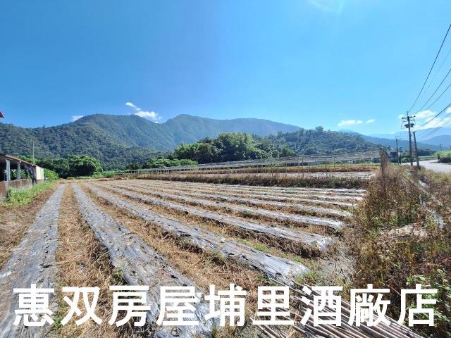 南投埔里農地-2