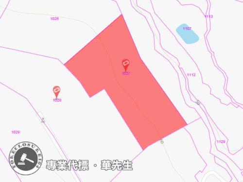 新北淡水法拍農地-1