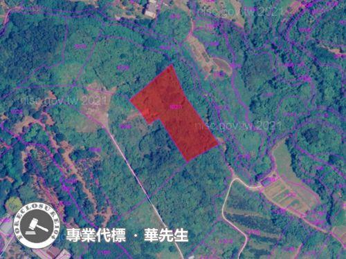 新北淡水法拍農地-3