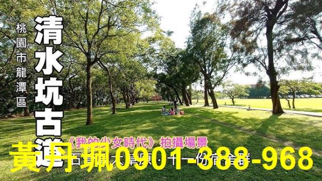 桃園龍潭農地-1