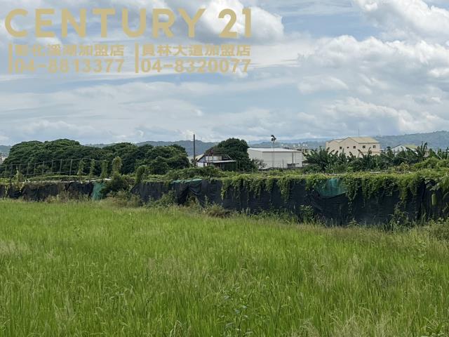 大村農地-2