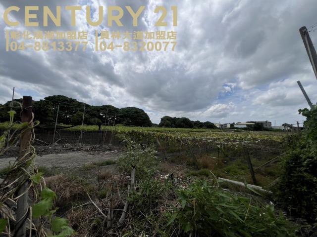 大村農地-3