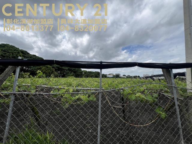 大村農地-5