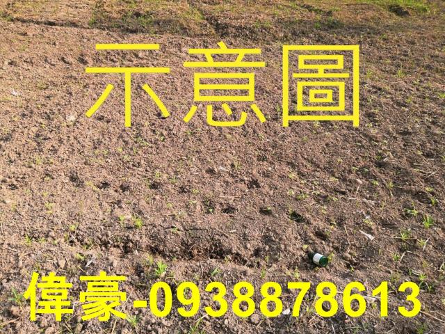 湖內農地-1