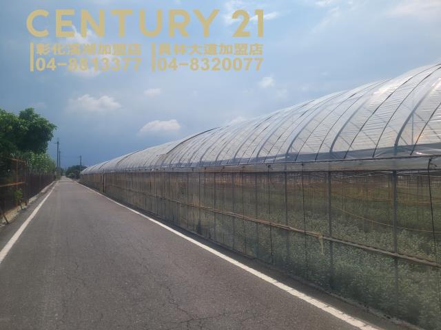 田尾農地-3