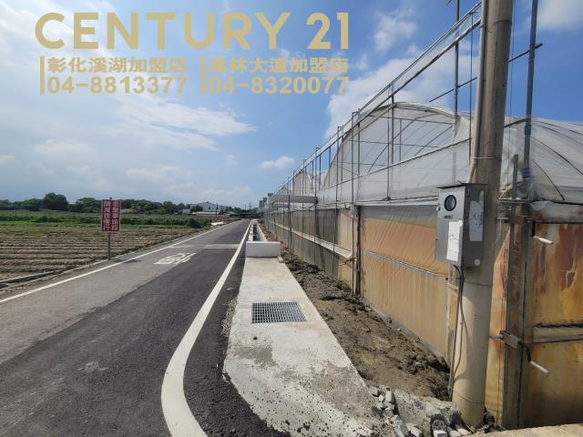 田尾農地-7