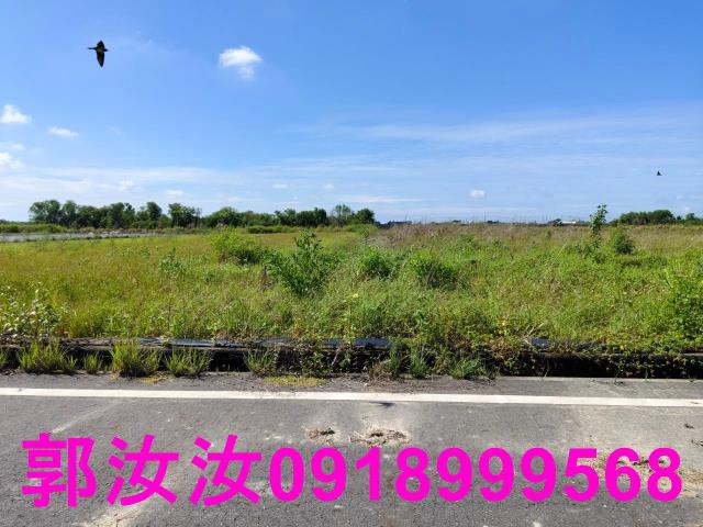鹽水農地-8