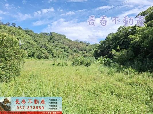 苗栗農地-1