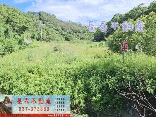 苗栗農地-2