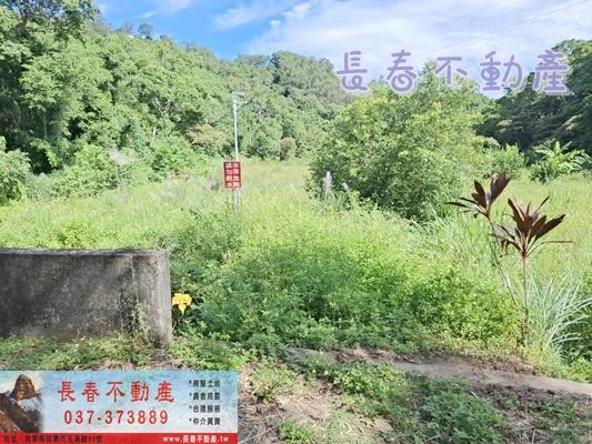 苗栗農地-3