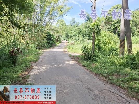 苗栗農地-6