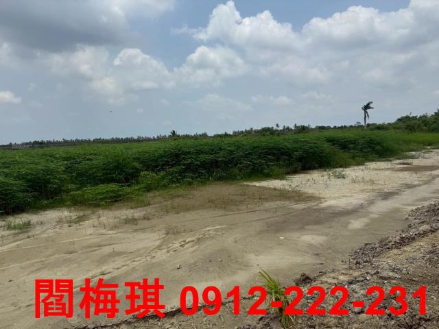 台南農地-3