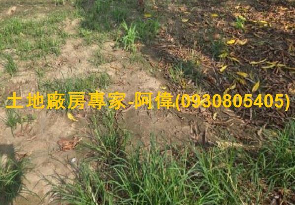 高雄林園農地-1