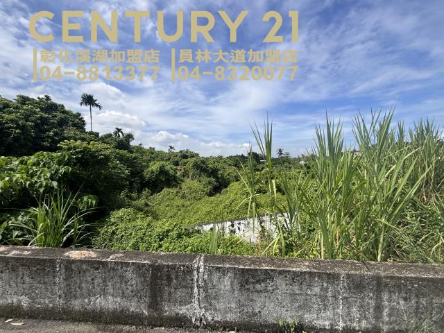 員林農地-2