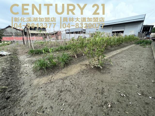 埔鹽農地-4