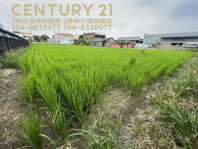 埔鹽農地-4