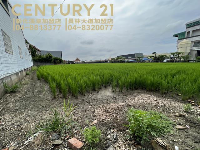 埔鹽農地-6