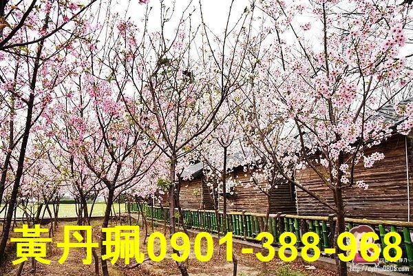 平鎮農地-2