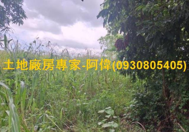 燕巢農地-1