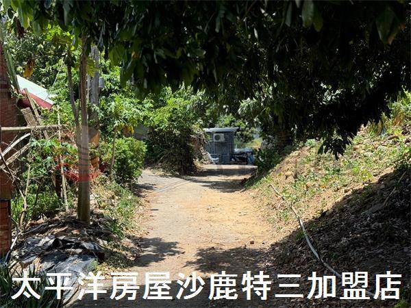 龍井農地-6