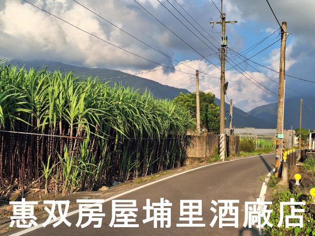 埔里農地-4