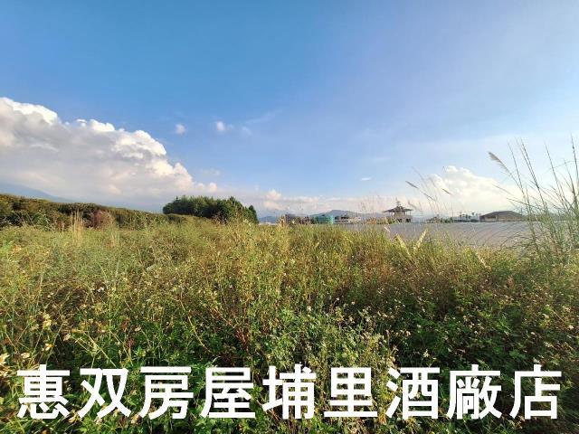 埔里農地-5
