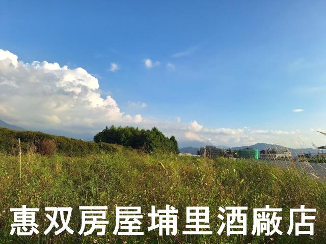 埔里農地-3
