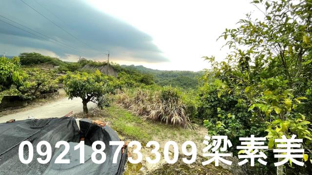 玉井農地-10
