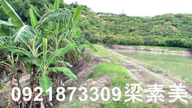 玉井農地-2