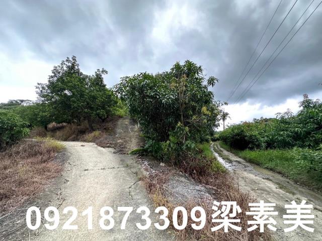 玉井農地-3