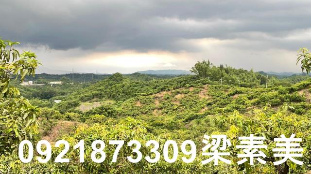 玉井農地-7