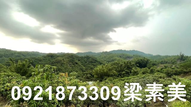 玉井農地-8
