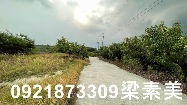 玉井農地-9