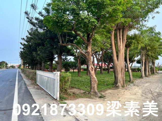 台南農地-6