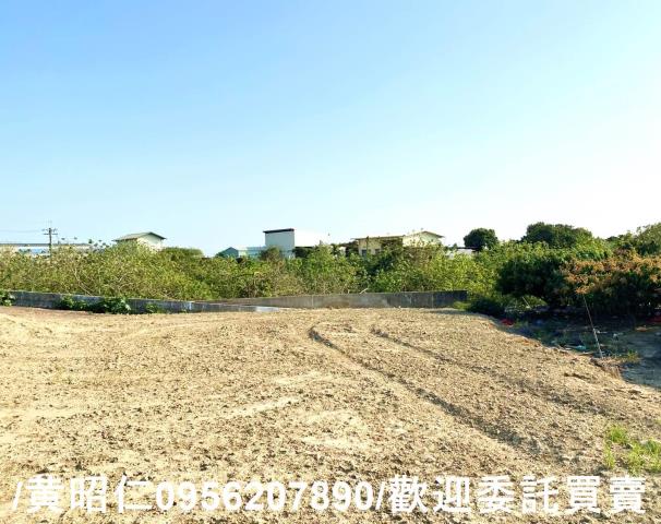 台南農地-1