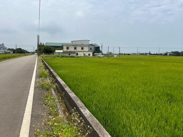 桃園新屋農地-4