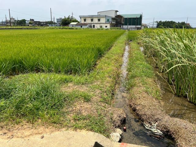 桃園新屋農地-7