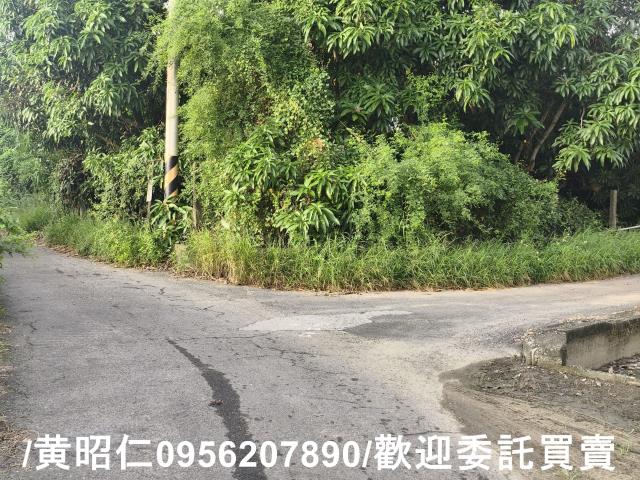 台南南區農地-3