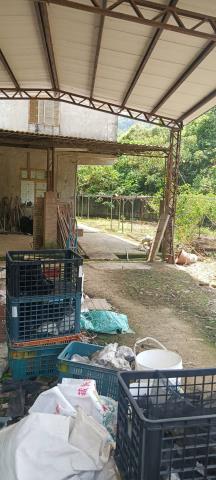 台中農地-4