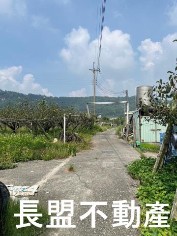 苗栗卓蘭農地-10