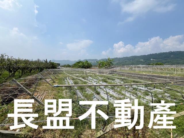 苗栗卓蘭農地-4
