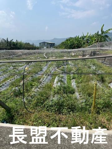 苗栗卓蘭農地-8
