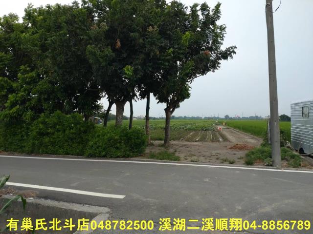 二林農地-4