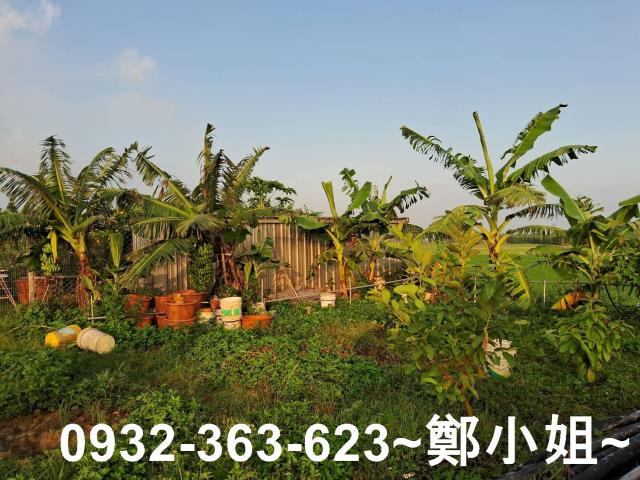 新屋農地-14