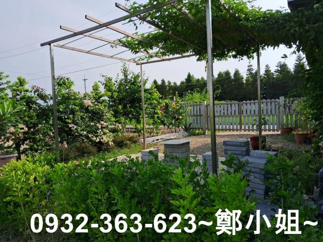 新屋農地-2