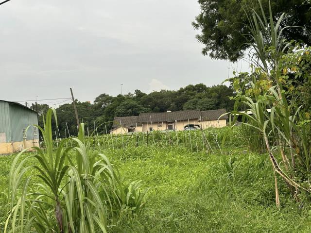 神岡農地-7
