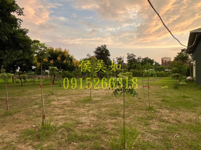 東區農地-11