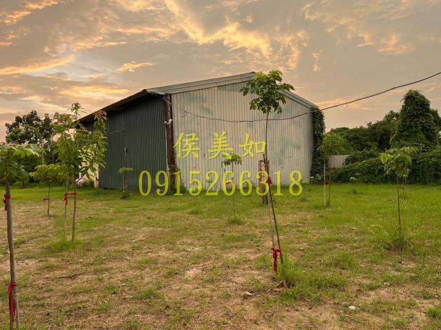 東區農地-15