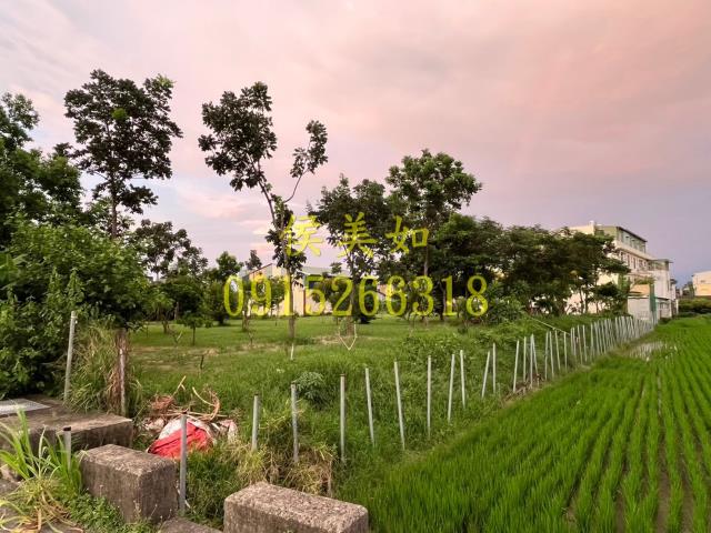 東區農地-2