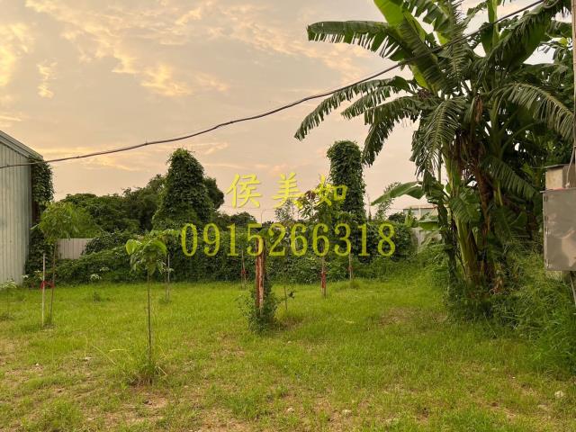 東區農地-9